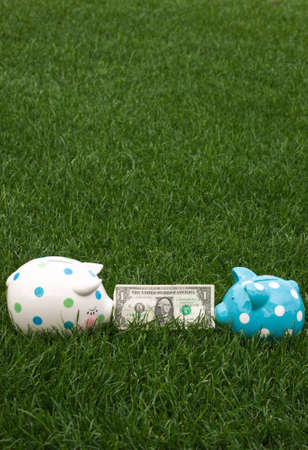 A close up of two piggy banks fighting over a US dollar.の写真素材