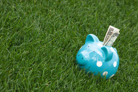 A close up of a childs piggy bank sitting on grass with a US dollar sticking out.の写真素材