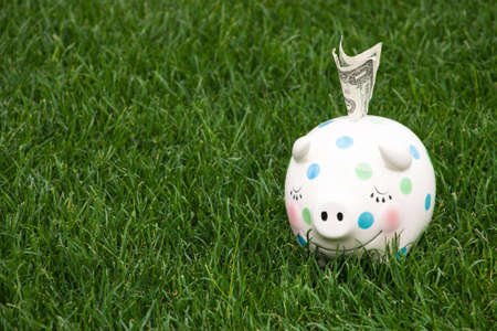 A close up of a childs piggy bank sitting on grass with a US dollar sticking out.の写真素材