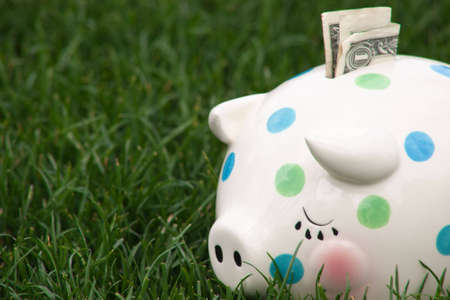 A close up of a childs piggy bank sitting on grass with a US dollar sticking out.の写真素材