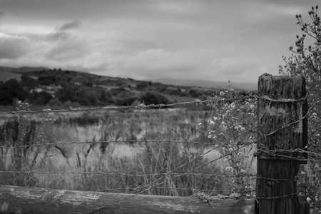 A close up of a old barb wire fence with a cloudy background.の写真素材
