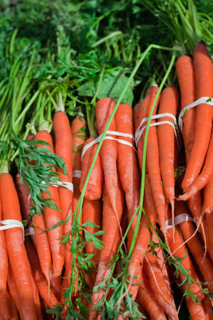 A close up of a bunch of carrots.