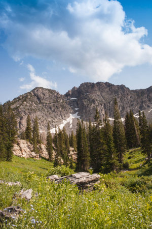 A shot looking up to Sugarloaf Mountain on the trail to Cecret Lake 