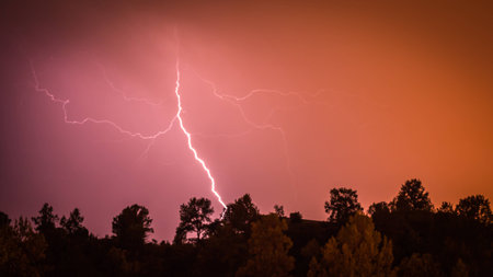 A night wide shot looking over a tree line to a colorful lighting strike の写真素材