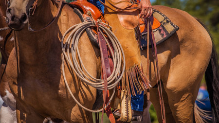 A close up of a cowboyの写真素材