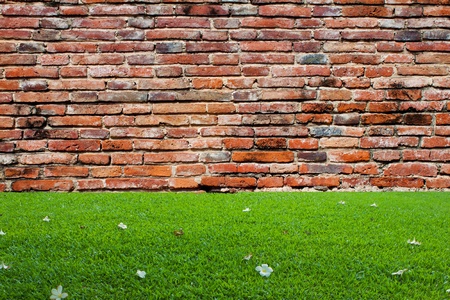 old brick wall and green grassの写真素材