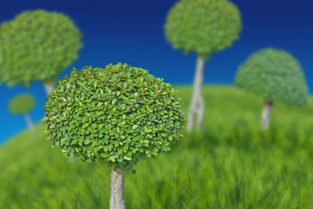 abstract green forest backgroundの写真素材