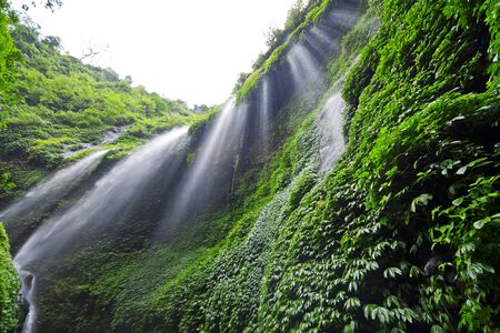 Madakaripura Waterfall  East Java, Indonesia の写真素材