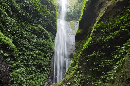 Madakaripura Waterfall  East Java, Indonesia  の写真素材