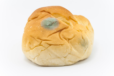 Moldy bread isolated on a white background