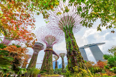 Singapore - May 4 :A ground up view of the botanical garden on May 4,2016 from Gardens by the Bay in...
