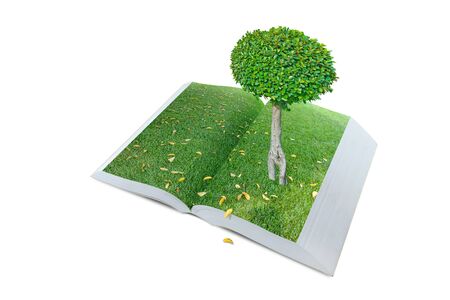 open pop up book with real tree and green grass field theme isolated on white, 3dの写真素材