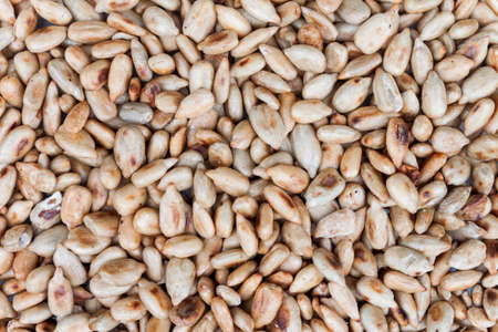 Roasted sunflower seeds texture as backgroundの写真素材