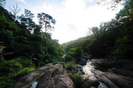 inside forest with waterfall , stone , treeの写真素材