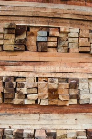 Old Woodsの写真素材