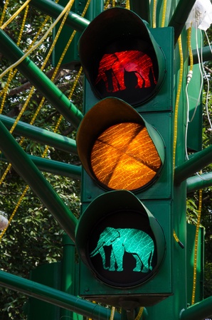 A Elephant traffic light red , orange , greenの写真素材