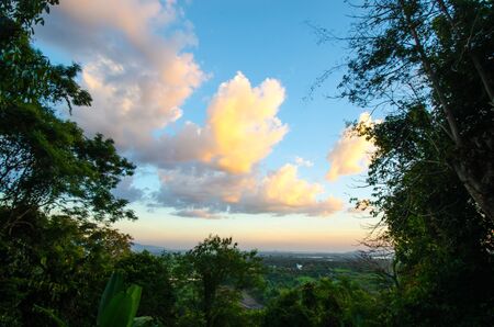 White cloud with nature forrest の写真素材