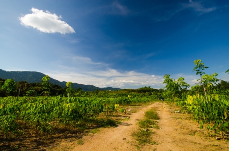Landscape with good natureの写真素材
