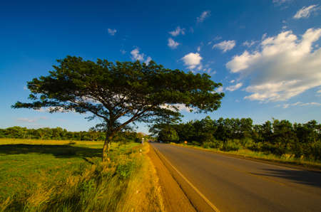 Landscape with good natureの写真素材