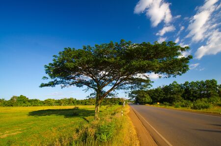 Landscape with good natureの写真素材