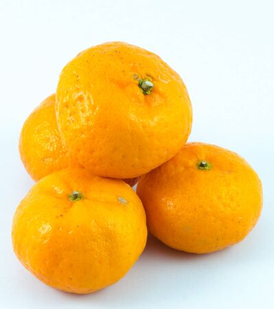 Orange with white backgrounds.の写真素材