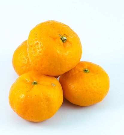 Orange with white backgrounds.の写真素材