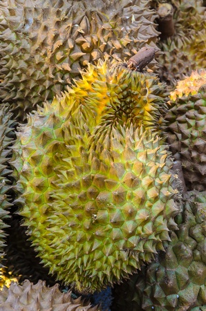 Durian on the street market.の写真素材