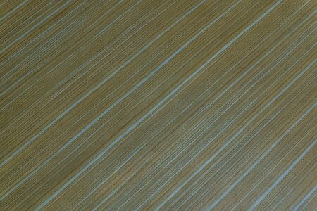 Wood backgrounds texture.の写真素材