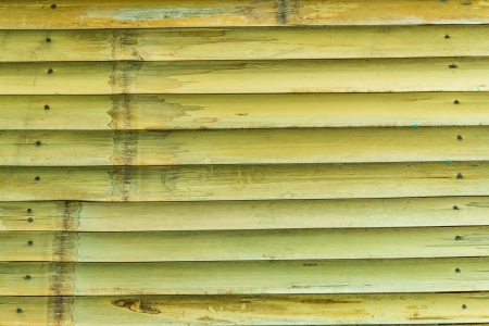 Bamboo texture for backgrounds.の写真素材