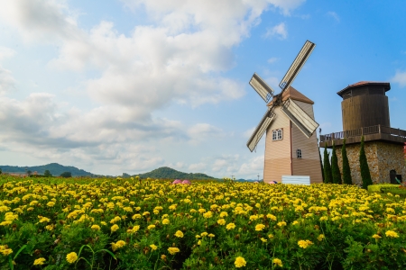 Wind Turbine at chonburi province (Thailand.)の写真素材