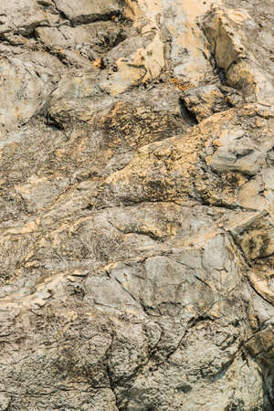 Wood texture for backgrounds.の写真素材