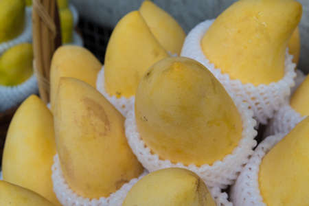 Yellow mango