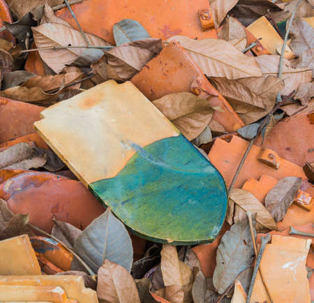 leaf&metal on the roof abstract for backgroundsの写真素材