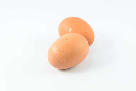 Egg on white backgroundの写真素材