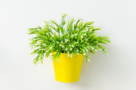 Beautiful flower in the vaseの写真素材