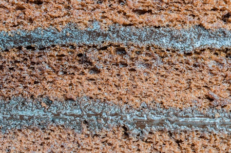 Texture of layer Chocolate cake on white dishの写真素材