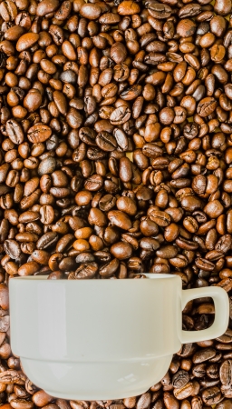 Coffee beans on white cupの写真素材