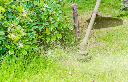 Cutting grass
