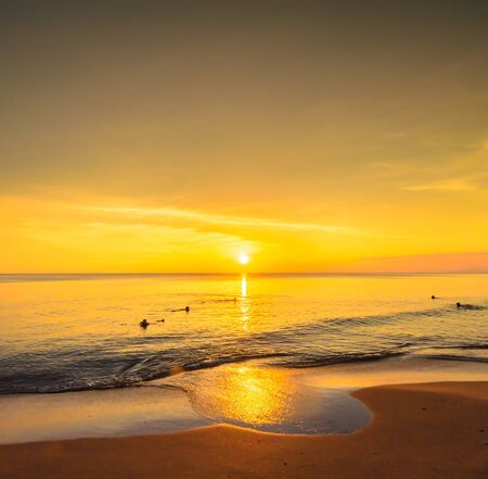 Sunset on the beach.の写真素材