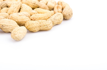 Peanut on side of frame in white background