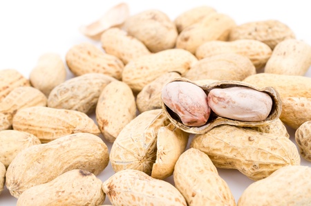 Peanut on white background