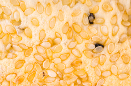 French sesame bread texture using as backgroundの写真素材
