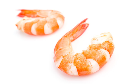 Shrimp on white backgroundの写真素材