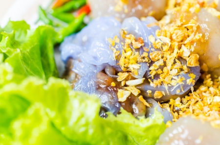 Dumpling tapioca porkの写真素材