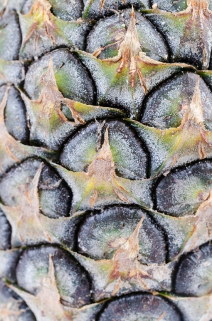 Pineapple leather on isolated white backgroundの写真素材