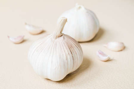 Garlicの写真素材
