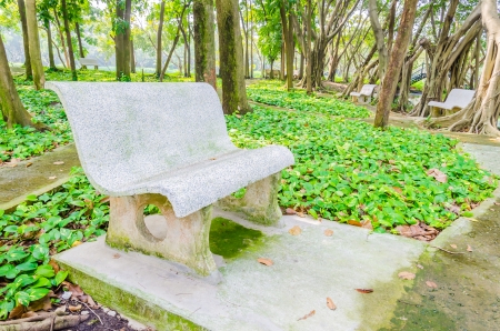 Bench in the parkの写真素材