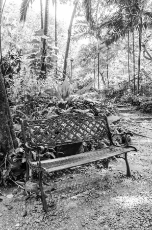Bench in the garden park (Process in black and white style)の写真素材