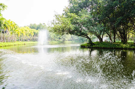 Fountain park in the cityの写真素材