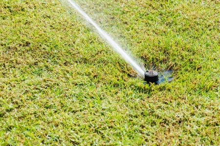 Sprinkle on green grass gardenの写真素材